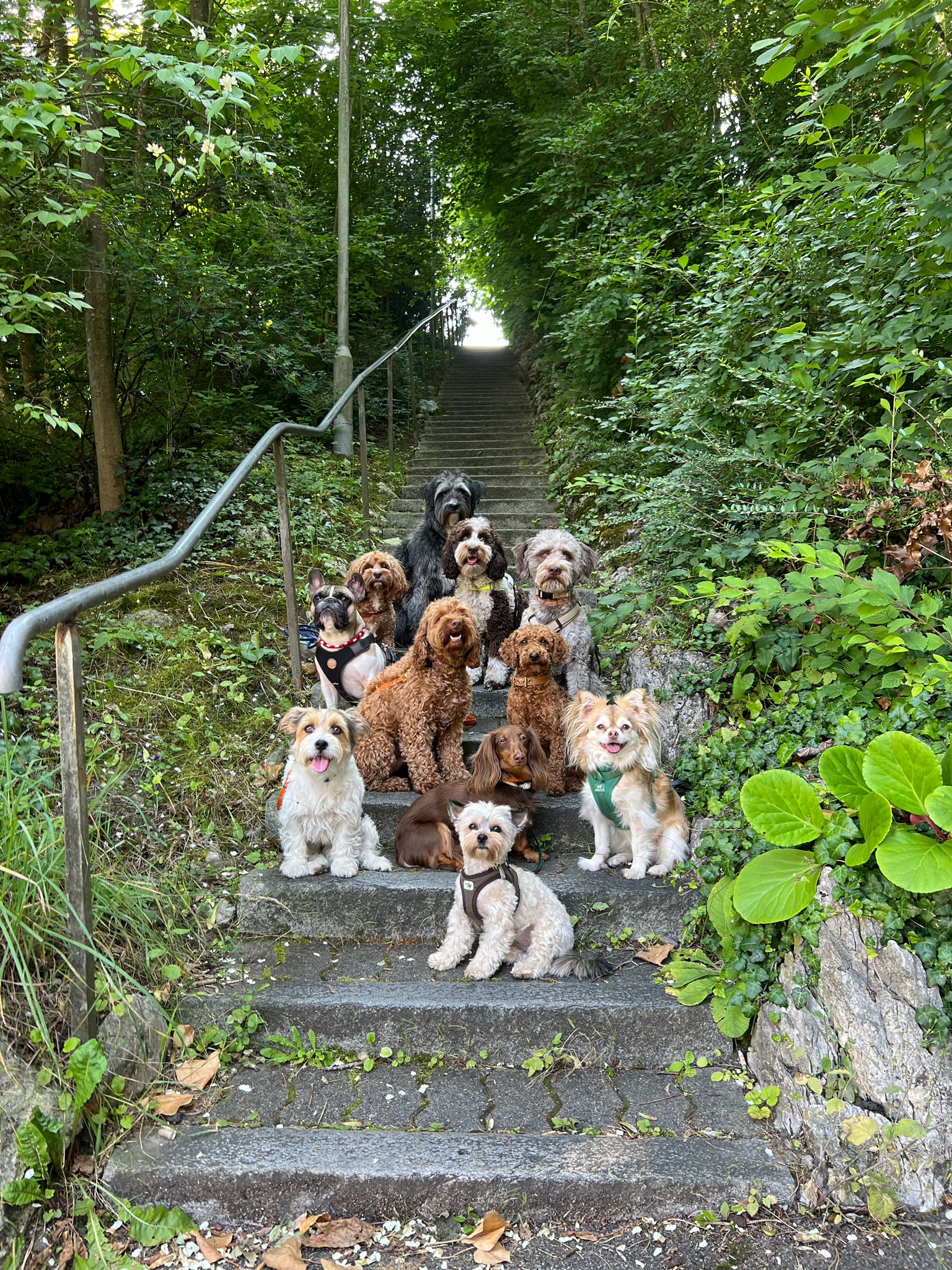Daycare