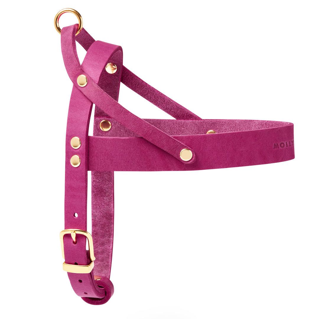 230530_Molly_And_Stitch_Products26329copy
