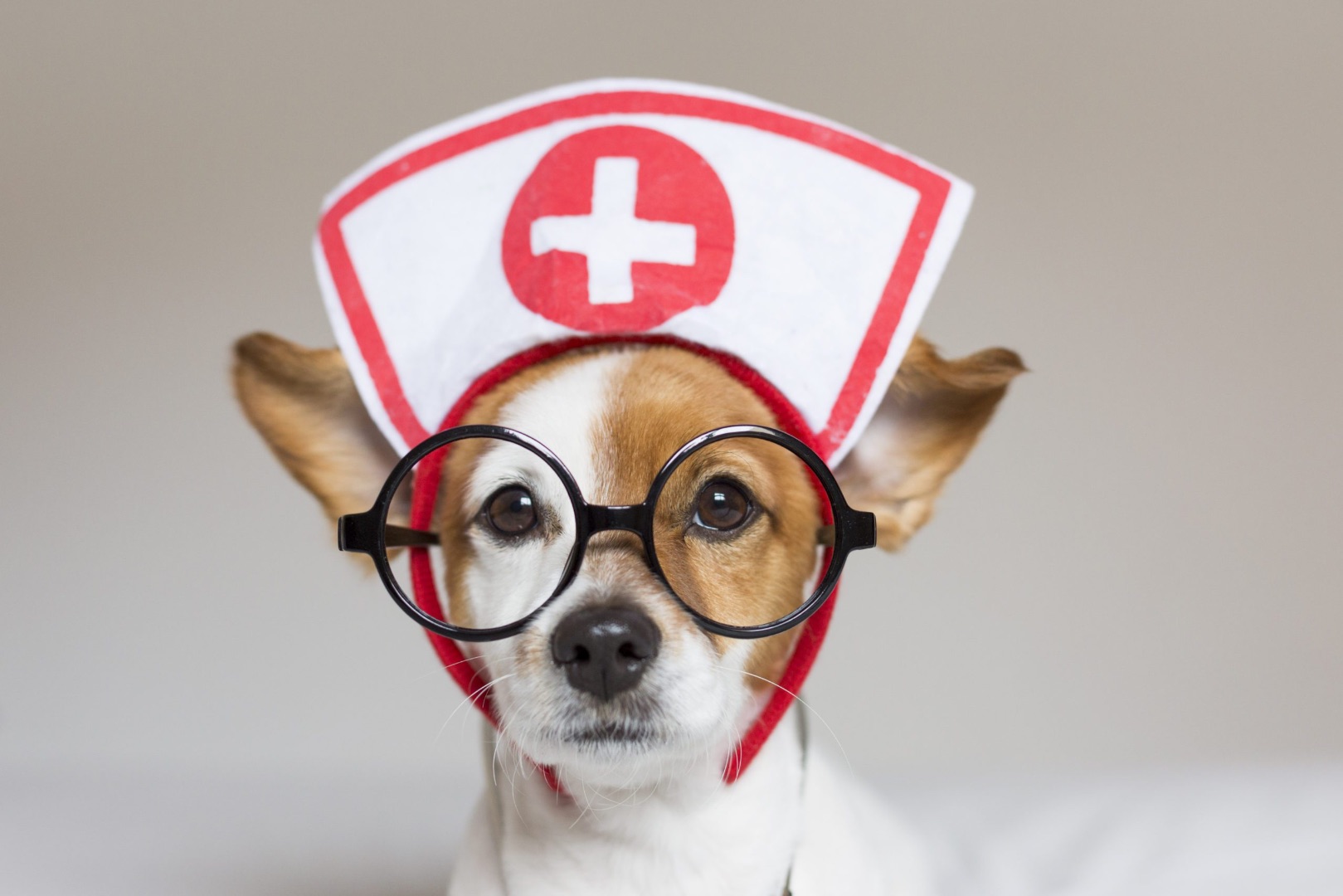 First Aid Training – Sicherheit beginnt mit Wissen