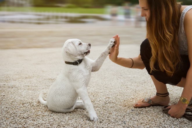 Connected Moves – Kommunikation, Bewegung und Verbindung
